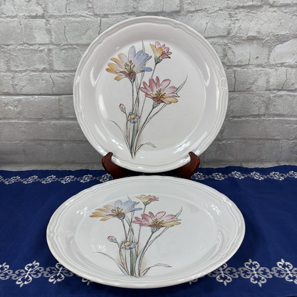 Vintage Noritake Springlike delicate pastel pink and blue Set of 2 Dinner Plates